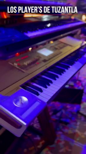 LA MEDIA AREPA - LOS PLAYER’S DE TUZANTLA en vivo🔴 Jorge Garcia PlayersOficial | Los Players de Tuzantla