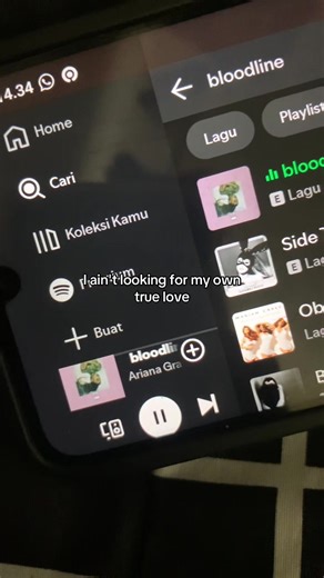 Bloodline Lyrics Overview