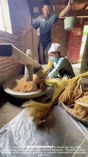 Threshing Rice with a Stone Hammer! 🌾🔨