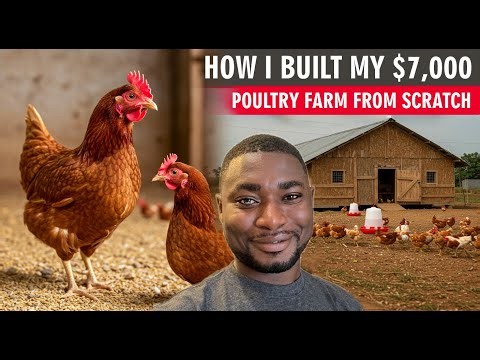 How I Built My $7,000 Poultry Farm From Scratch 🐓 | Cheap Farm Build Guide