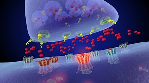 19K views · 364 reactions | How the brain responds to meth: | The National Institute on Drug Abuse - NIDA | Facebook