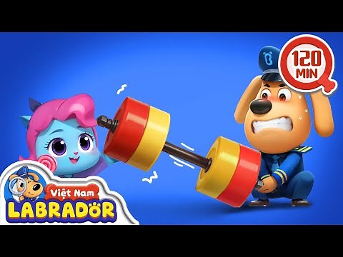 💪 Người bạn Max siêu nhân 👮 Cảnh sát trưởng Labrador Vietnam 🚔