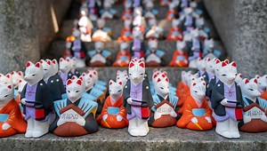 When To Prune Barberry? Everyone Should Know This!