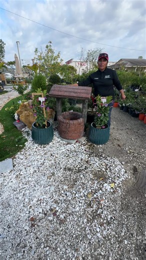 Essential Tips for Backyard Irrigation Repair