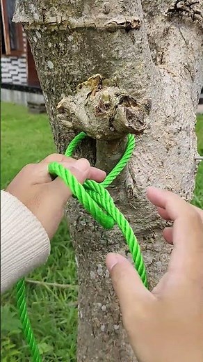WoW! World Famous Knot!