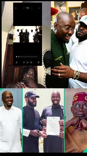 Understanding the NDI Errand Boy Mandate