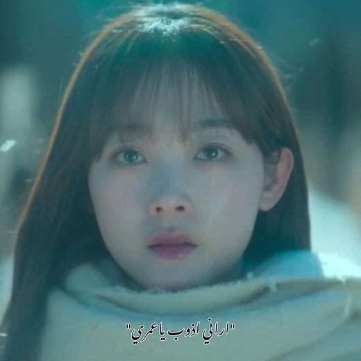 مسلسل السيد بلانكتون: الحلقة 1 ومواضيع كيبوب