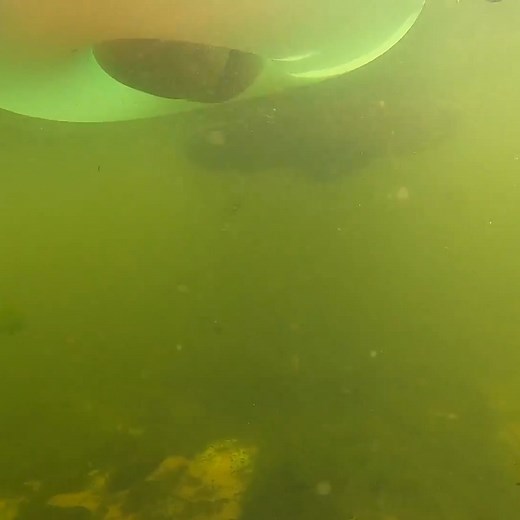 That last girl was lowkey freaking out 😂 | D ALL MY D