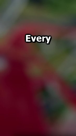 The Biggest PRO and CON of Intimidator at Carowinds #rollercoaster #rollercoasters #carowinds #northcarolina #southcarolina #charlotte #intimidator #amusementpark #themepark