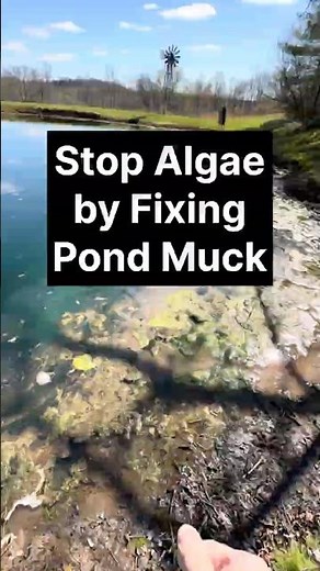 Stop Algae by Fixing Pond Muck | Pond Management