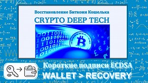 Bitcoin Wallet Recovery via ECDSA Short Signatures