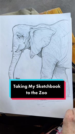 Zoo Sketchbook Adventures: Drawing Lions, Elephants, and More!