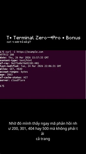 T• curl -I: web còn sống hay trả mã lỗi gì? | Bonus (Terminal Zero→Pro) #ubuntu #terminal#code#linux