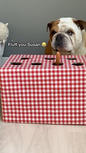 729K views · 8.7K reactions | Pranking my dog with a  | Kingmajesty_and_princessrose | Facebook