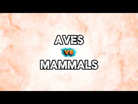 DIFFERENCE BETWEEN AVES AND MAMMALS 