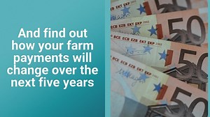 Inside this week's Irish Farmers Journal: *Body blow to farm payments in next CAP - find out how the Department of Agriculture modelling shows 55,000 farmers face payment cuts of up to 40% *Will farmers with small entitlements gain anything? *IFA makes €1.5bn REPS promise a red line issue for government *Why tachographs could double the cost of silage. On sale now. | Irish Farmers Journal