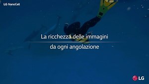 User manual LG 49NANO816NA (English - 69 pages)