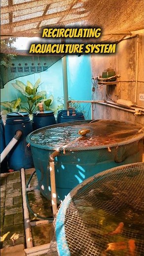 Recirculating Aquaculture System (RAS)
