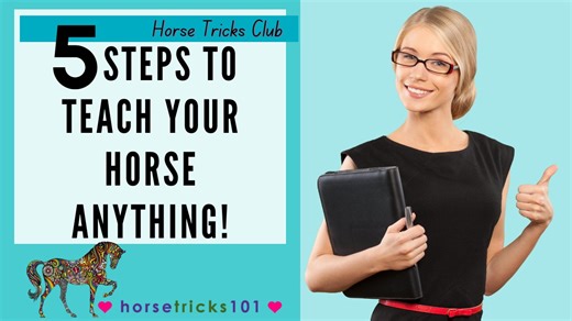 🌟 This simple tutorial is perfect for trainers of all levels aiming to refine their approach and foster a positive learning environment for their equine partners. 🐴 Whether you're a beginner or an experienced horse trainer, these structured steps will help you enhance your training sessions and achieve remarkable results with your horse. 🏆 | Horse Tricks 101