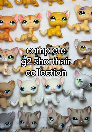 i’ve finally collected every single g2 shorthair!! never thought this day would come🥹 #lps #littlestpetshop #lpstiktok ##lpscollection##lpscommunity