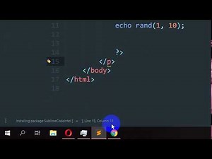How to use Sublime Text as a Netbeans Java IDE | SublimeCodeIntel