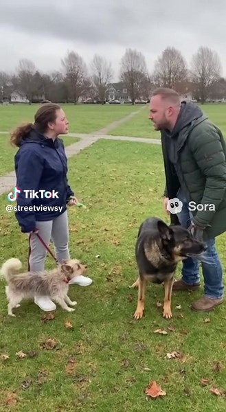 Responsible Dog Ownership: Cleaning Up After Your Pet