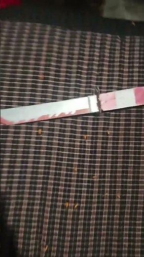 demon Slayer tanjiro sword
