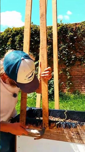 Simple DIY Pea Trellis for Raised Beds 🪴 | Cheap & Easy Garden Hack #diy #gardenenthusiast #garden