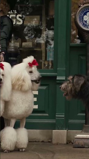 Ligando en modo perruno 🐶 | LA DAMA Y EL VAGABUNDO | ‪@disneychannelES‬