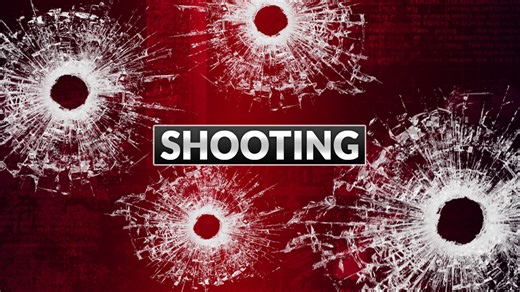Shots fired in Mobile neighborhood, police investigate | WKRG.com