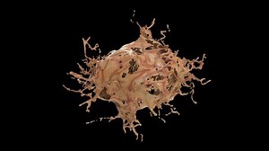 Brain Blow Splash Explode 4k Animation Stock Footage Video (100% Royalty-free) 1090675643 | Shutterstock