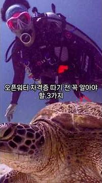 오픈워터 자격증 따기 전 꼭 알아야할 3가지 #필리핀 #필리핀여행 #세부살이 #필리핀정보 #세부다이빙샵 #필리핀투어 #필리핀스쿠버다이빙 #세부다이빙#세부스쿠버다이빙#세부오픈워터
