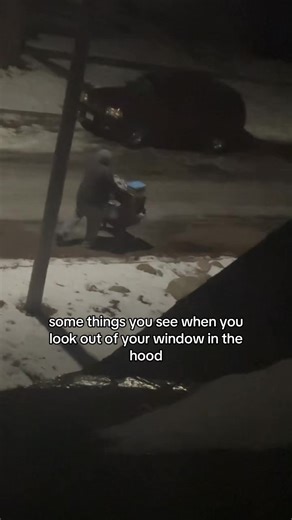 how does one acquire a target shopping cart #hood #hoodmemes #funny #lol #fyp