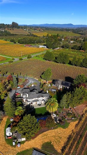 Vinifera Homes | Luxury Vacation Rentals | 👇Booking Details 📍Sebastopol, CA 🌐 SAVE $100 on your first visit (link in our bio) At The Vineyard Residence , you’ll enjoy: 🏊‍♀️ Luxury... | Instagram