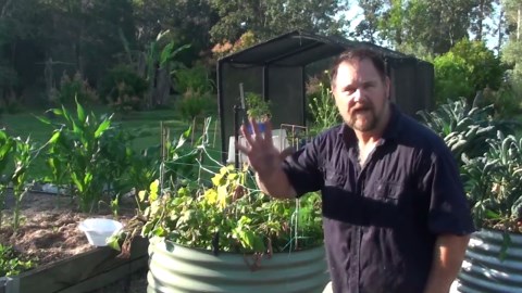 Nice Kangaroo Backyard Experience