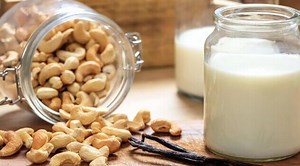 Cashew Nut Milk Processing Plant - IBC MACHINE