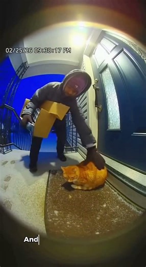 Times When People Helped Cats