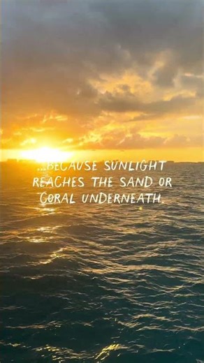 Why Does the Ocean Have Different Colors