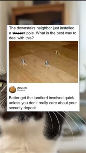 Neighbor installed a pole straight through the ceiling