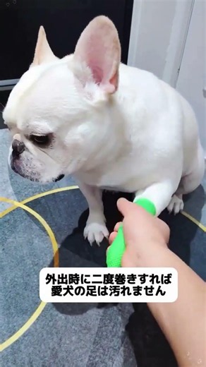 犬の靴嫌いを救え！この自分で貼る防汚バンテージ、通気性抜群で外れにくく、泥道でも足がきれい！🐾 #犬用バンテージ #犬のお散歩グッズ #犬の肉球ケア #防汚バンテージ#ペット便利グッズ