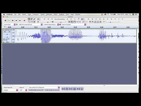 How To RECORD USB MICROPHONE To Audacity