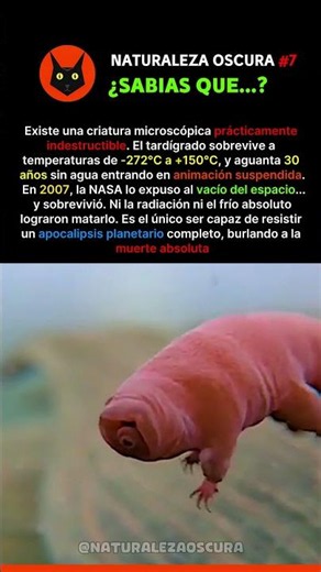 ¡El Animal 100% Indestructible! 🪐