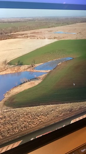 Here they come! #Crash #CLO #fyp #crashlanding #ducks #hunt