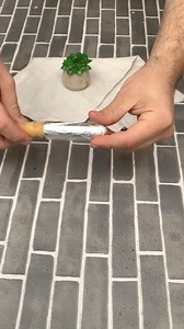 Jumping worm, toy or magic? | Listen to Tips | Facebook