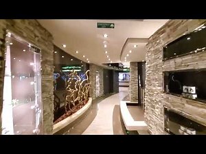 MSC Divina Aurea spa tour