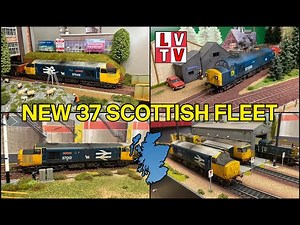 Bachmann New Class 37 Scottish Fleet : 37012, 37033 and 37043