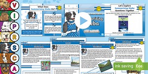 UKS2 Improving Your Reading Skills With... Summarizing Sheba Activity Pack