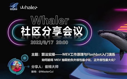 崔棉大师的Flashbot实战视频