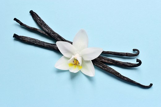 Where Does Vanilla Flavoring Come From?