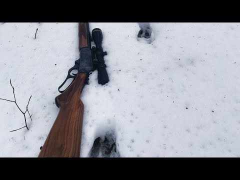 Tracking Vermont Bucks on Fresh Snow 2023